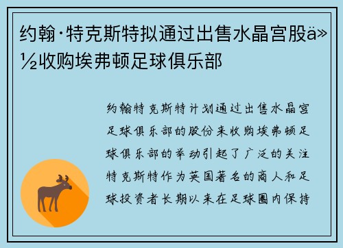 约翰·特克斯特拟通过出售水晶宫股份收购埃弗顿足球俱乐部